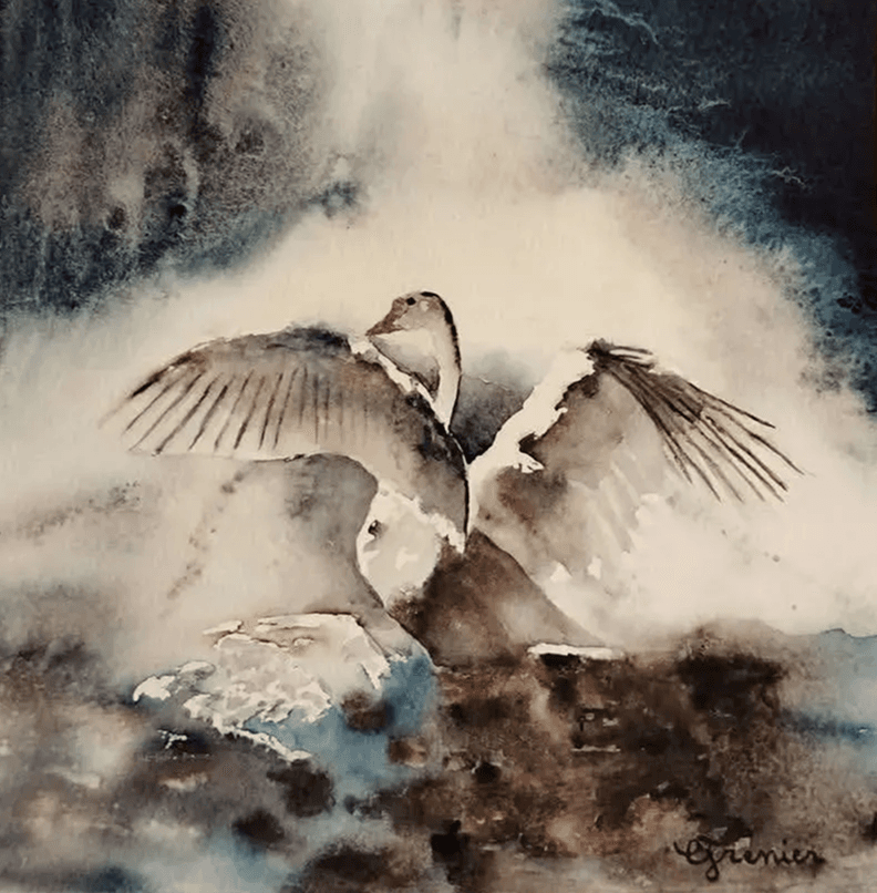 Cygne