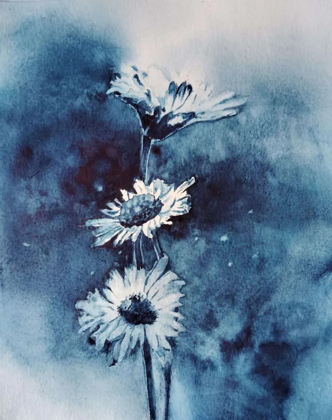 Marguerites