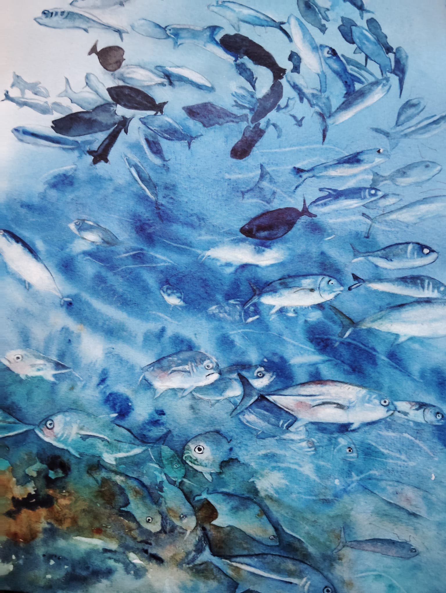 Ban de poissons