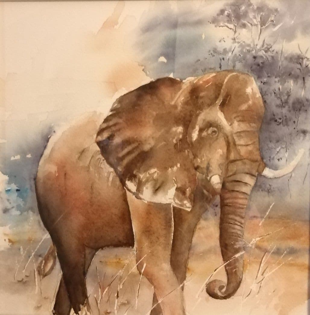 Eléphant