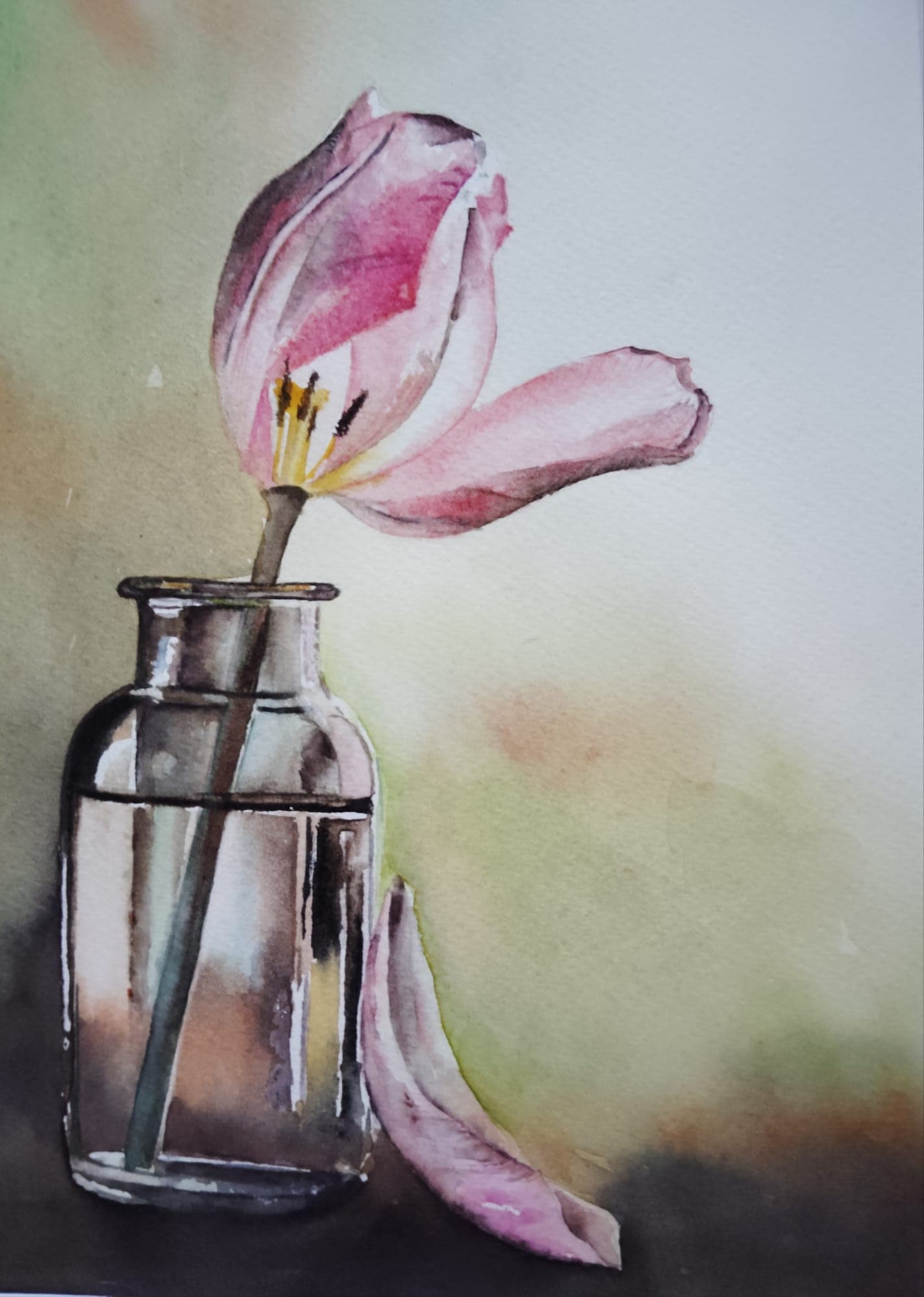 Tulipe